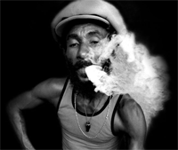 Penn’s Picks: Female Punk Trailblazers, Vol. 1 Penn’s Picks: Female Punk Trailblazers, Vol. 1